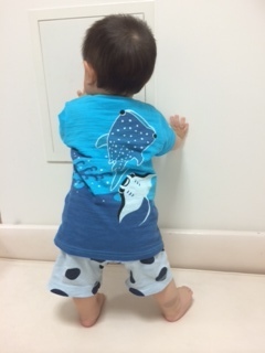 沖縄Tシャツ３.JPG